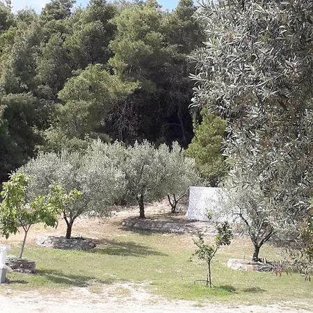 Afroditis House Daire