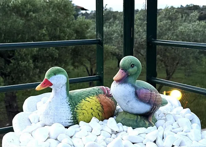 Afroditis House 公寓 *