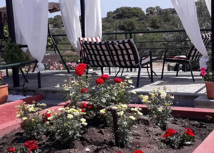 公寓 Afroditis House 奥马斯帕纳吉亚斯