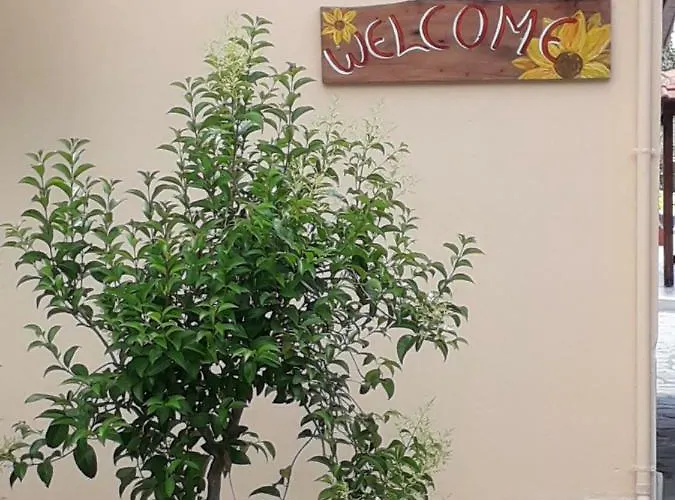 Afroditis House 奥马斯帕纳吉亚斯