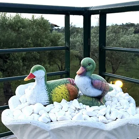 Afroditis House Apartament *